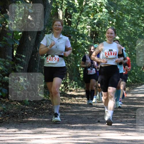 28.09.2025 - 33. Volkslauf durch das schöne Alstertal Strokosch-Dieckow http://msf.ph/oto/8972117 28.09.2025 12:30:01 Laufen 2163, 2169, 2177, 2079 meine-sportfotos.de