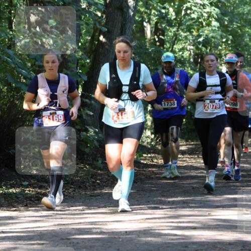 28.09.2025 - 33. Volkslauf durch das schöne Alstertal Strokosch-Dieckow http://msf.ph/oto/8972124 28.09.2025 12:30:06 Laufen 2169, 2168, 1738, 2079, 098 meine-sportfotos.de