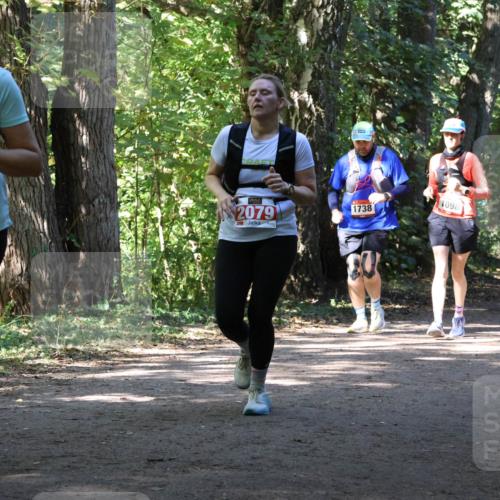 28.09.2025 - 33. Volkslauf durch das schöne Alstertal Strokosch-Dieckow http://msf.ph/oto/8972127 28.09.2025 12:30:10 Laufen 2168, 2079, 1738, 1098, 2629, 214 meine-sportfotos.de