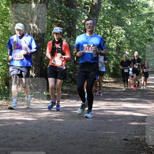 28.09.2025 - 33. Volkslauf durch das schöne Alstertal Strokosch-Dieckow http://msf.ph/oto/8972129 28.09.2025 12:30:12 Laufen 1738, 1098, 2143, 2535, 2992 meine-sportfotos.de
