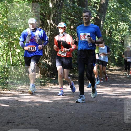 28.09.2025 - 33. Volkslauf durch das schöne Alstertal Strokosch-Dieckow http://msf.ph/oto/8972134 28.09.2025 12:30:12 Laufen 738, 1098, 214, 2535 meine-sportfotos.de