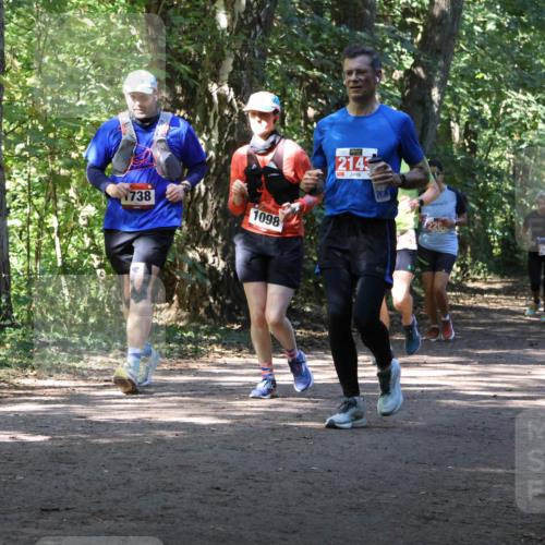28.09.2025 - 33. Volkslauf durch das schöne Alstertal Strokosch-Dieckow http://msf.ph/oto/8972135 28.09.2025 12:30:12 Laufen 738, 1098, 2143 meine-sportfotos.de
