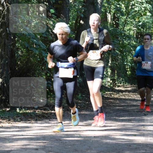 28.09.2025 - 33. Volkslauf durch das schöne Alstertal Strokosch-Dieckow http://msf.ph/oto/8972136 28.09.2025 12:30:17 Laufen 2285, 2286 meine-sportfotos.de