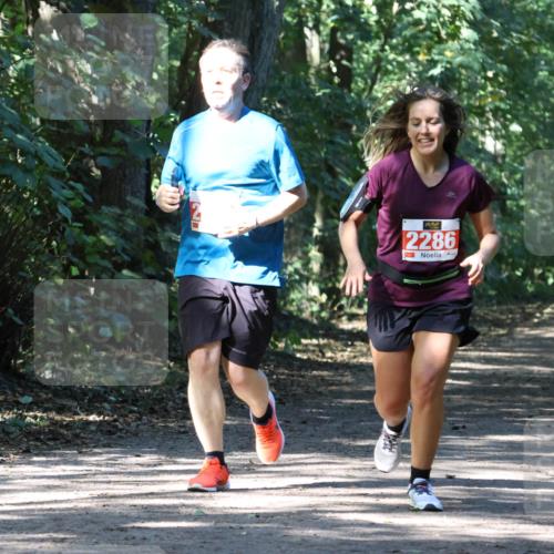 28.09.2025 - 33. Volkslauf durch das schöne Alstertal Strokosch-Dieckow http://msf.ph/oto/8972140 28.09.2025 12:30:20 Laufen 2286 meine-sportfotos.de