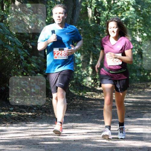 28.09.2025 - 33. Volkslauf durch das schöne Alstertal Strokosch-Dieckow http://msf.ph/oto/8972144 28.09.2025 12:30:20 Laufen 2285, 280 meine-sportfotos.de