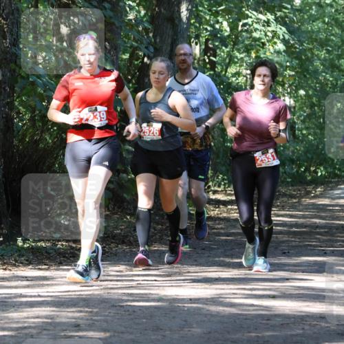 28.09.2025 - 33. Volkslauf durch das schöne Alstertal Strokosch-Dieckow http://msf.ph/oto/8972147 28.09.2025 12:30:35 Laufen 2239, 2526, 2531 meine-sportfotos.de