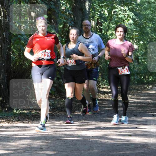 28.09.2025 - 33. Volkslauf durch das schöne Alstertal Strokosch-Dieckow http://msf.ph/oto/8972148 28.09.2025 12:30:35 Laufen 239, 2526, 2531 meine-sportfotos.de