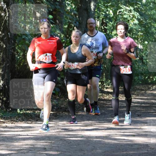 28.09.2025 - 33. Volkslauf durch das schöne Alstertal Strokosch-Dieckow http://msf.ph/oto/8972149 28.09.2025 12:30:35 Laufen 2239, 526, 2531 meine-sportfotos.de