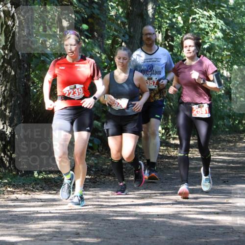 28.09.2025 - 33. Volkslauf durch das schöne Alstertal Strokosch-Dieckow http://msf.ph/oto/8972150 28.09.2025 12:30:35 Laufen 2239, 357, 2551 meine-sportfotos.de