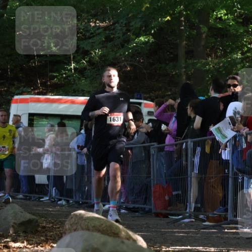 28.09.2025 - 33. Volkslauf durch das schöne Alstertal Strokosch-Dieckow http://msf.ph/oto/8972151 28.09.2025 11:54:53 Ziel 1631, 2161, 2258 meine-sportfotos.de