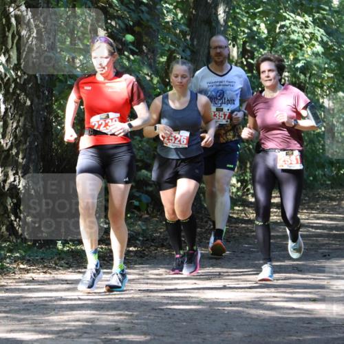 28.09.2025 - 33. Volkslauf durch das schöne Alstertal Strokosch-Dieckow http://msf.ph/oto/8972152 28.09.2025 12:30:35 Laufen 2239, 2526, 357, 2531, 2043 meine-sportfotos.de