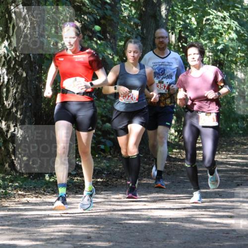 28.09.2025 - 33. Volkslauf durch das schöne Alstertal Strokosch-Dieckow http://msf.ph/oto/8972153 28.09.2025 12:30:35 Laufen 2526, 357, 2048 meine-sportfotos.de