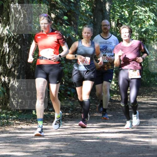 28.09.2025 - 33. Volkslauf durch das schöne Alstertal Strokosch-Dieckow http://msf.ph/oto/8972154 28.09.2025 12:30:35 Laufen 880, 26, 3572, 2049 meine-sportfotos.de