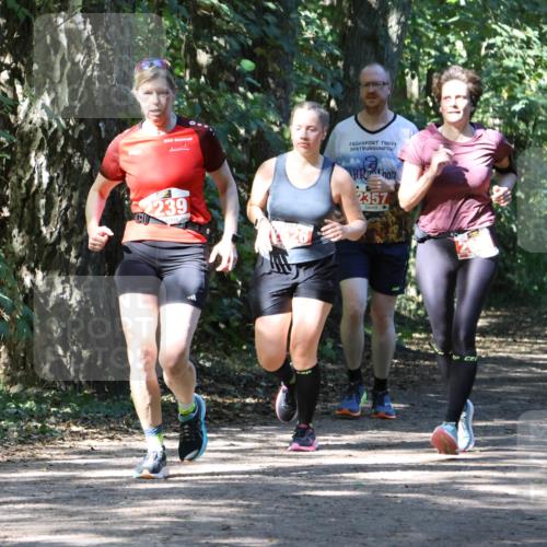 28.09.2025 - 33. Volkslauf durch das schöne Alstertal Strokosch-Dieckow http://msf.ph/oto/8972156 28.09.2025 12:30:35 Laufen 2239, 2357 meine-sportfotos.de
