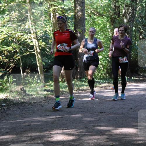 28.09.2025 - 33. Volkslauf durch das schöne Alstertal Strokosch-Dieckow http://msf.ph/oto/8972157 28.09.2025 12:30:38 Laufen 830, 2229, 2526, 2531 meine-sportfotos.de