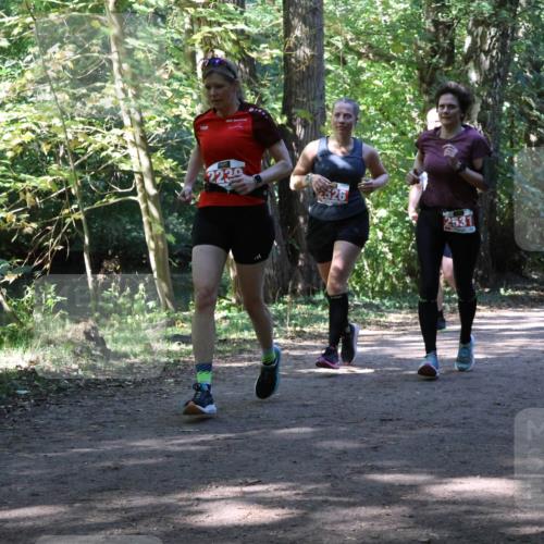28.09.2025 - 33. Volkslauf durch das schöne Alstertal Strokosch-Dieckow http://msf.ph/oto/8972158 28.09.2025 12:30:38 Laufen 2239, 2526, 253 meine-sportfotos.de