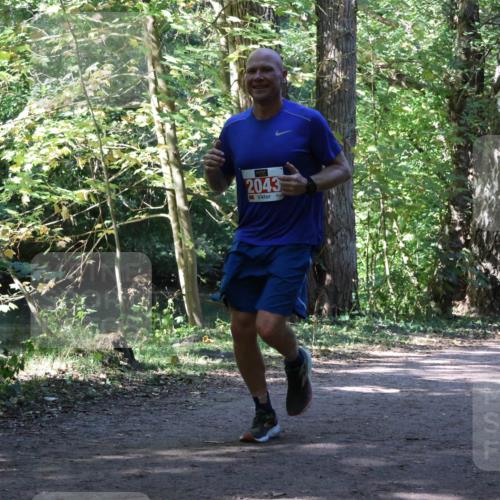 28.09.2025 - 33. Volkslauf durch das schöne Alstertal Strokosch-Dieckow http://msf.ph/oto/8972164 28.09.2025 12:30:48 Laufen 2043 meine-sportfotos.de