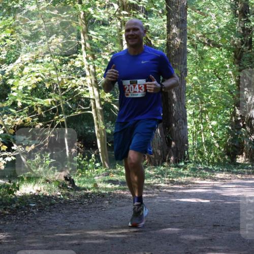 28.09.2025 - 33. Volkslauf durch das schöne Alstertal Strokosch-Dieckow http://msf.ph/oto/8972165 28.09.2025 12:30:48 Laufen 2043 meine-sportfotos.de
