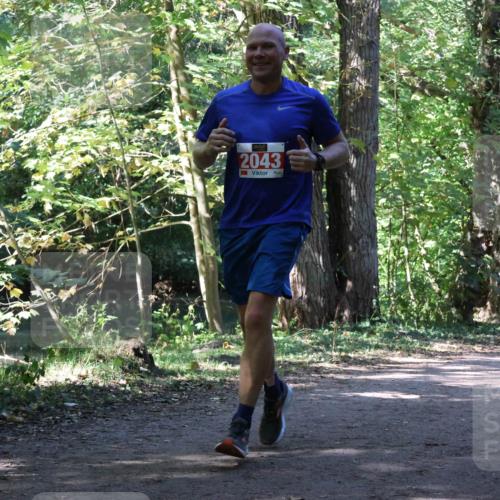28.09.2025 - 33. Volkslauf durch das schöne Alstertal Strokosch-Dieckow http://msf.ph/oto/8972166 28.09.2025 12:30:48 Laufen 2043, 3 meine-sportfotos.de