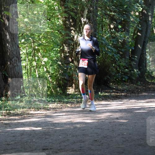 28.09.2025 - 33. Volkslauf durch das schöne Alstertal Strokosch-Dieckow http://msf.ph/oto/8972169 28.09.2025 12:30:54 Laufen 2044, 1101 meine-sportfotos.de