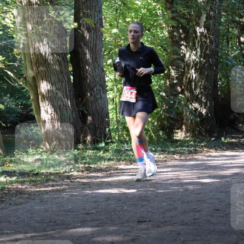 28.09.2025 - 33. Volkslauf durch das schöne Alstertal Strokosch-Dieckow http://msf.ph/oto/8972174 28.09.2025 12:30:55 Laufen 2044, 110 meine-sportfotos.de