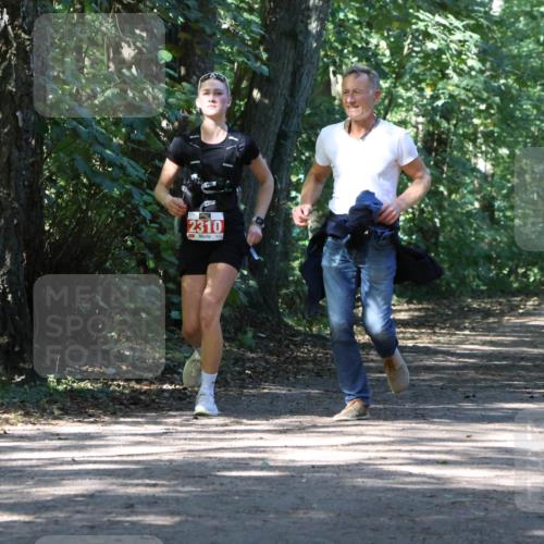 28.09.2025 - 33. Volkslauf durch das schöne Alstertal Strokosch-Dieckow http://msf.ph/oto/8972178 28.09.2025 12:31:00 Laufen 2310 meine-sportfotos.de
