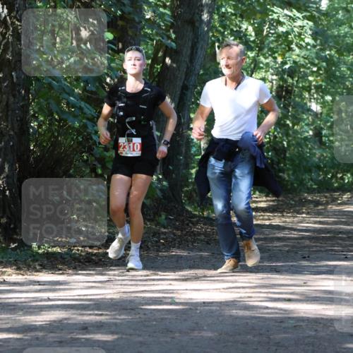 28.09.2025 - 33. Volkslauf durch das schöne Alstertal Strokosch-Dieckow http://msf.ph/oto/8972179 28.09.2025 12:31:00 Laufen 2310 meine-sportfotos.de