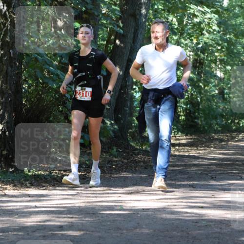 28.09.2025 - 33. Volkslauf durch das schöne Alstertal Strokosch-Dieckow http://msf.ph/oto/8972182 28.09.2025 12:31:00 Laufen 2310 meine-sportfotos.de