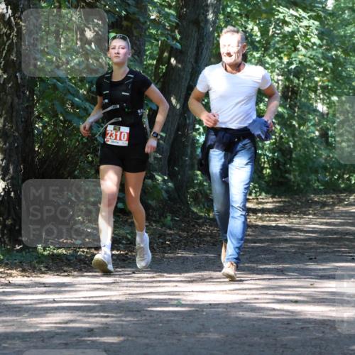 28.09.2025 - 33. Volkslauf durch das schöne Alstertal Strokosch-Dieckow http://msf.ph/oto/8972183 28.09.2025 12:31:00 Laufen 2310 meine-sportfotos.de