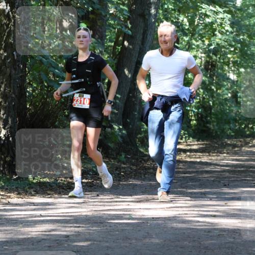 28.09.2025 - 33. Volkslauf durch das schöne Alstertal Strokosch-Dieckow http://msf.ph/oto/8972184 28.09.2025 12:31:00 Laufen 2310 meine-sportfotos.de