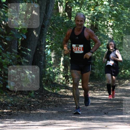 28.09.2025 - 33. Volkslauf durch das schöne Alstertal Strokosch-Dieckow http://msf.ph/oto/8972185 28.09.2025 12:31:11 Laufen 2121 meine-sportfotos.de