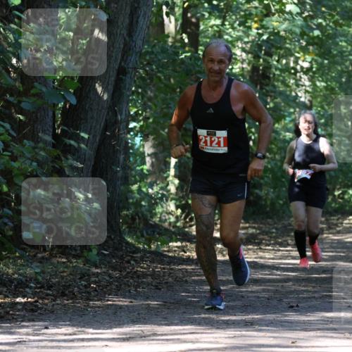28.09.2025 - 33. Volkslauf durch das schöne Alstertal Strokosch-Dieckow http://msf.ph/oto/8972186 28.09.2025 12:31:11 Laufen 2121 meine-sportfotos.de