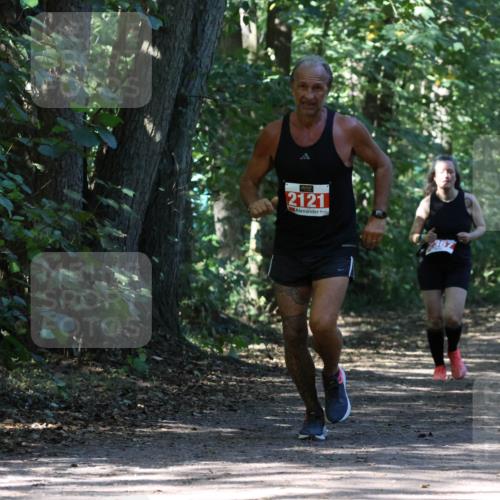 28.09.2025 - 33. Volkslauf durch das schöne Alstertal Strokosch-Dieckow http://msf.ph/oto/8972187 28.09.2025 12:31:11 Laufen 2121, 367 meine-sportfotos.de