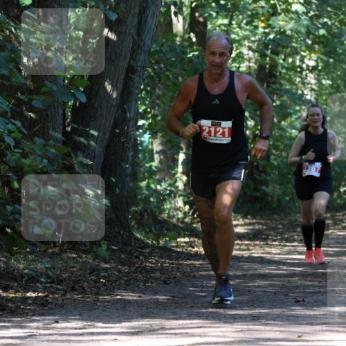 28.09.2025 - 33. Volkslauf durch das schöne Alstertal Strokosch-Dieckow http://msf.ph/oto/8972188 28.09.2025 12:31:11 Laufen 2121, 2367 meine-sportfotos.de
