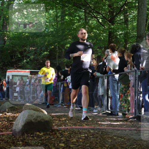 28.09.2025 - 33. Volkslauf durch das schöne Alstertal Strokosch-Dieckow http://msf.ph/oto/8972193 28.09.2025 11:54:55 Ziel 1631, 2161, 2258, 2406 meine-sportfotos.de