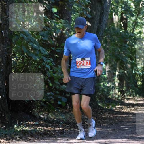 28.09.2025 - 33. Volkslauf durch das schöne Alstertal Strokosch-Dieckow http://msf.ph/oto/8972200 28.09.2025 12:31:29 Laufen 2207 meine-sportfotos.de