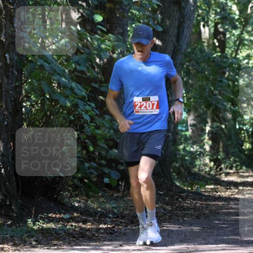 28.09.2025 - 33. Volkslauf durch das schöne Alstertal Strokosch-Dieckow http://msf.ph/oto/8972201 28.09.2025 12:31:29 Laufen 2207 meine-sportfotos.de