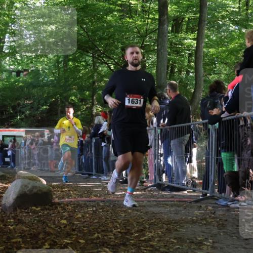 28.09.2025 - 33. Volkslauf durch das schöne Alstertal Strokosch-Dieckow http://msf.ph/oto/8972204 28.09.2025 11:54:56 Ziel 1631, 2161, 2258, 2406 meine-sportfotos.de