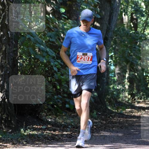 28.09.2025 - 33. Volkslauf durch das schöne Alstertal Strokosch-Dieckow http://msf.ph/oto/8972205 28.09.2025 12:31:29 Laufen 2207 meine-sportfotos.de