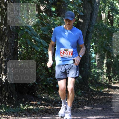 28.09.2025 - 33. Volkslauf durch das schöne Alstertal Strokosch-Dieckow http://msf.ph/oto/8972207 28.09.2025 12:31:29 Laufen 2207 meine-sportfotos.de