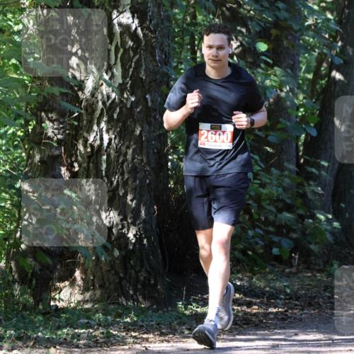 28.09.2025 - 33. Volkslauf durch das schöne Alstertal Strokosch-Dieckow http://msf.ph/oto/8972215 28.09.2025 12:31:38 Laufen 2600 meine-sportfotos.de