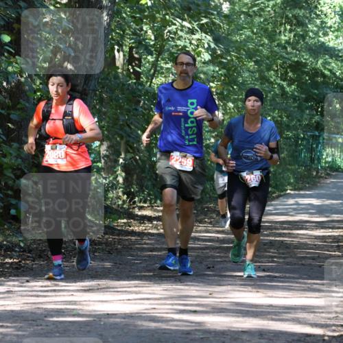 28.09.2025 - 33. Volkslauf durch das schöne Alstertal Strokosch-Dieckow http://msf.ph/oto/8972216 28.09.2025 12:31:44 Laufen  meine-sportfotos.de