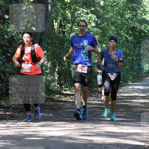 28.09.2025 - 33. Volkslauf durch das schöne Alstertal Strokosch-Dieckow http://msf.ph/oto/8972217 28.09.2025 12:31:44 Laufen 2080, 2259, 260 meine-sportfotos.de