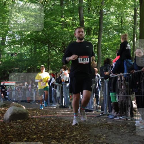 28.09.2025 - 33. Volkslauf durch das schöne Alstertal Strokosch-Dieckow http://msf.ph/oto/8972218 28.09.2025 11:54:56 Ziel 1631, 2161, 2258, 2406 meine-sportfotos.de