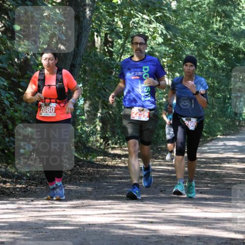 28.09.2025 - 33. Volkslauf durch das schöne Alstertal Strokosch-Dieckow http://msf.ph/oto/8972219 28.09.2025 12:31:44 Laufen 2080, 6, 15 meine-sportfotos.de