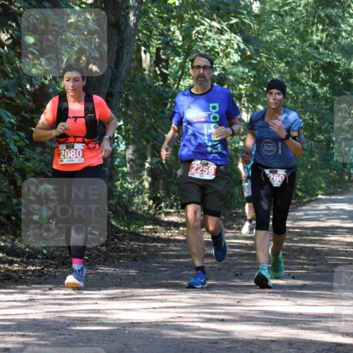 28.09.2025 - 33. Volkslauf durch das schöne Alstertal Strokosch-Dieckow http://msf.ph/oto/8972220 28.09.2025 12:31:44 Laufen 2080, 2259, 260, 2023 meine-sportfotos.de