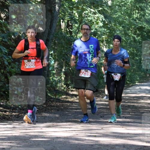28.09.2025 - 33. Volkslauf durch das schöne Alstertal Strokosch-Dieckow http://msf.ph/oto/8972221 28.09.2025 12:31:44 Laufen 2080, 2259, 260 meine-sportfotos.de