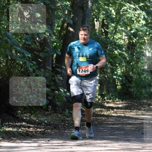28.09.2025 - 33. Volkslauf durch das schöne Alstertal Strokosch-Dieckow http://msf.ph/oto/8972223 28.09.2025 12:31:54 Laufen 2025, 1749 meine-sportfotos.de