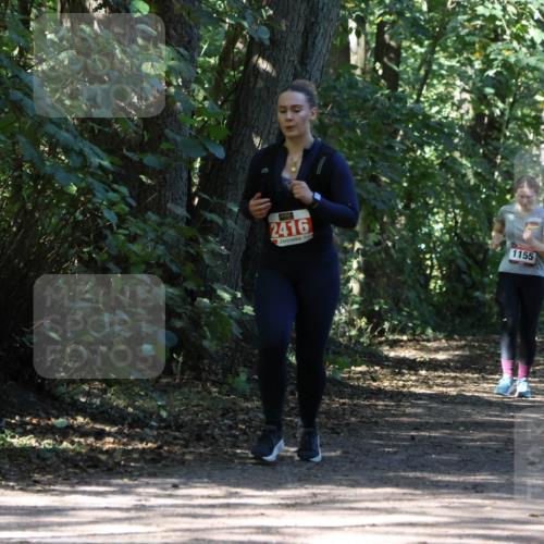 28.09.2025 - 33. Volkslauf durch das schöne Alstertal Strokosch-Dieckow http://msf.ph/oto/8972227 28.09.2025 12:32:10 Laufen 2416, 1155 meine-sportfotos.de