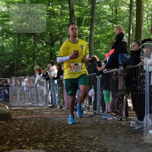 28.09.2025 - 33. Volkslauf durch das schöne Alstertal Strokosch-Dieckow http://msf.ph/oto/8972229 28.09.2025 11:54:58 Ziel 2161, 2258, 2406 meine-sportfotos.de